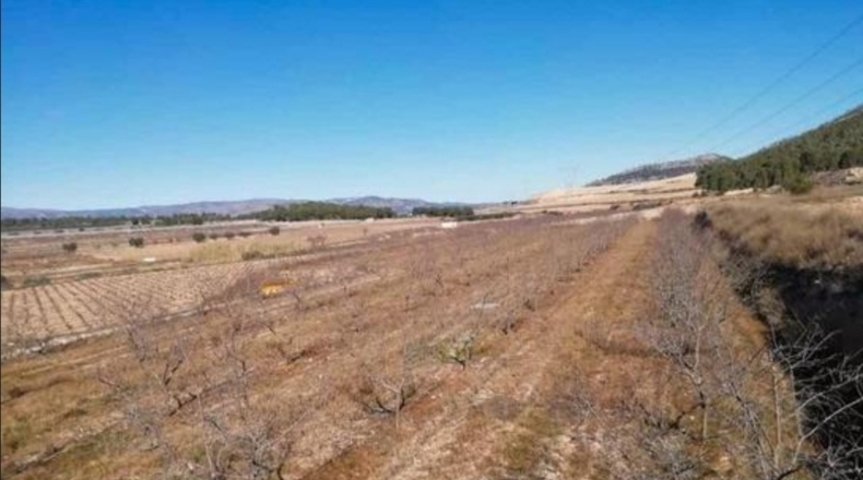 Alicante - La Romaneta - 24000m2