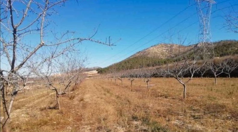 Alicante - La Romaneta - 24000m2