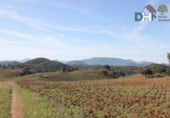 Non-developable land for sale on Calle Méndez Núñez, Seville, ref: TR72779 photo