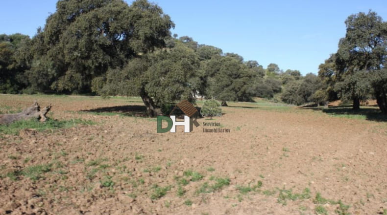 Sevilla - Sevilla - 3000000m2