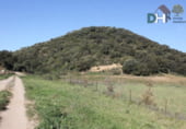 Non-developable land for sale on Calle Méndez Núñez, Seville, ref: TR72779 photo