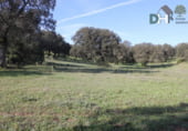 Non-developable land for sale on Calle Méndez Núñez, Seville, ref: TR72779 photo