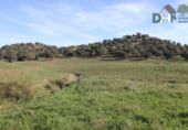 Non-developable land for sale on Calle Méndez Núñez, Seville, ref: TR72779 photo