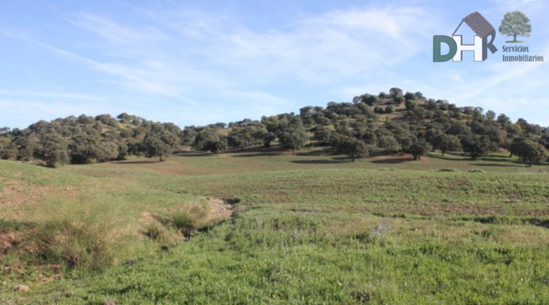 Sevilla - Sevilla - 3000000m2