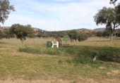 Non-developable land for sale on El Sevellar, Badajoz, ref: TR72777 photo