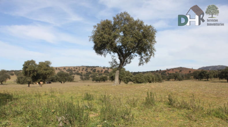 Badajoz - Orellana la Vieja - 6500000m2