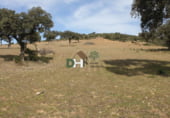 Non-developable land for sale on El Sevellar, Badajoz, ref: TR72777 photo