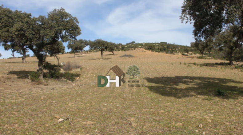Badajoz - Orellana la Vieja - 6500000m2