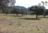 Non-developable land for sale on El Sevellar, Badajoz, ref: TR72777 photo
