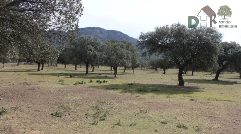 Badajoz - Orellana la Vieja - 6500000m2
