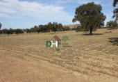 Non-developable land for sale on El Sevellar, Badajoz, ref: TR72777 photo