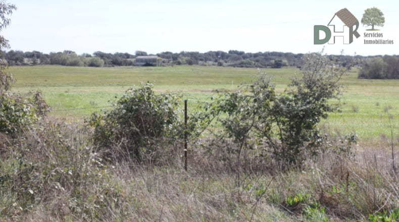 Cáceres - Talayuela - 440000m2