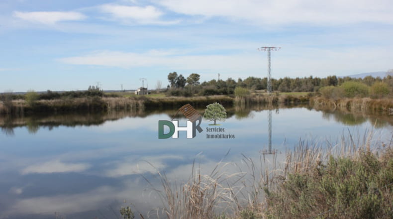 Cáceres - Talayuela - 440000m2