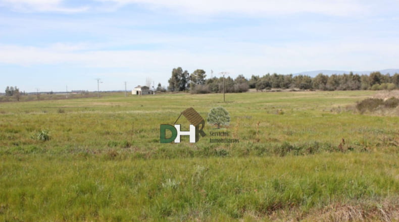 Cáceres - Talayuela - 440000m2