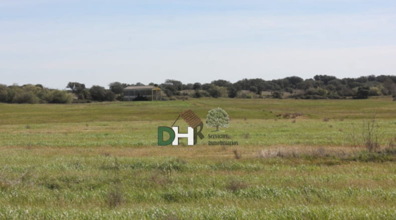 Cáceres - Talayuela - 440000m2