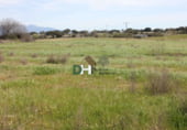Terreny no urbanitzable en venda a la Calle Paneras, Càceres, ref.: TR72772 foto