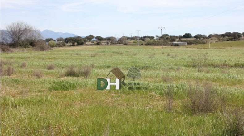 Cáceres - Talayuela - 440000m2