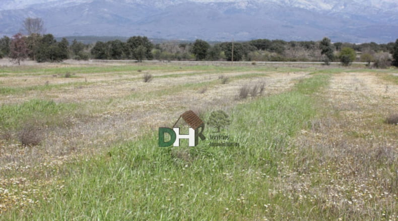 Cáceres - Talayuela - 440000m2