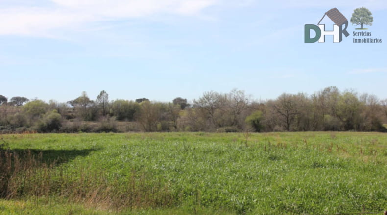 Cáceres - Talayuela - 440000m2