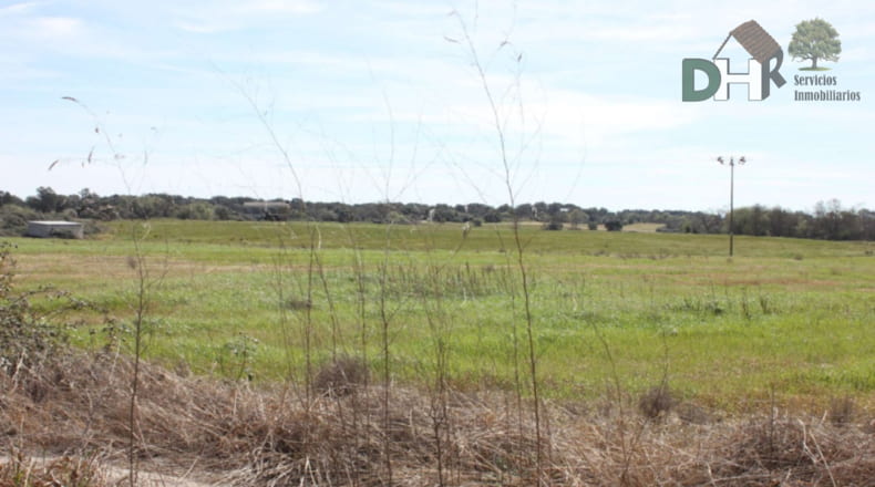 Cáceres - Talayuela - 440000m2