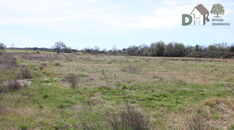 Cáceres - Talayuela - 440000m2