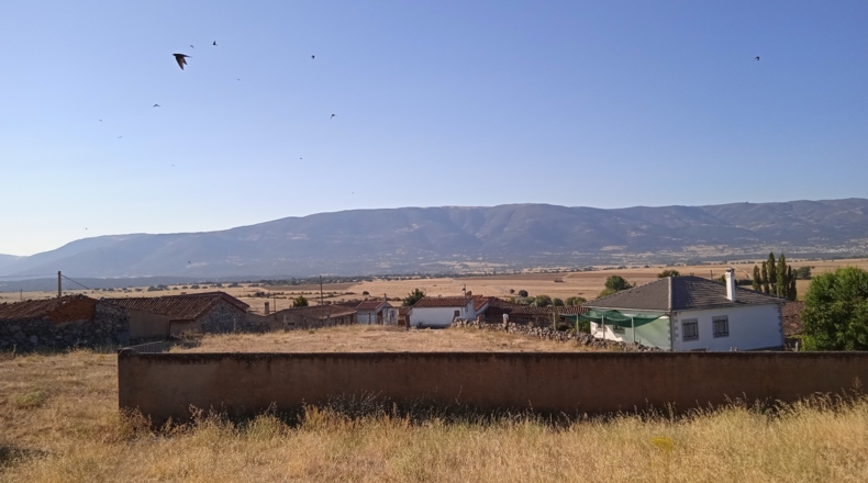 Ávila - Becedillas - 3700m2