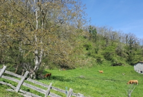 Bezanes 16097&nbsp;m² 