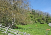 Finca rústica en venda a la Bezanes sn, Bezanes, ref.: TR72936 foto