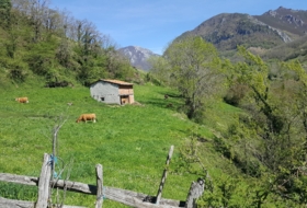 Bezanes 16097&nbsp;m² 