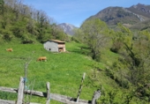 Finca rústica en venda a la Bezanes sn, Bezanes, ref.: TR72936 foto