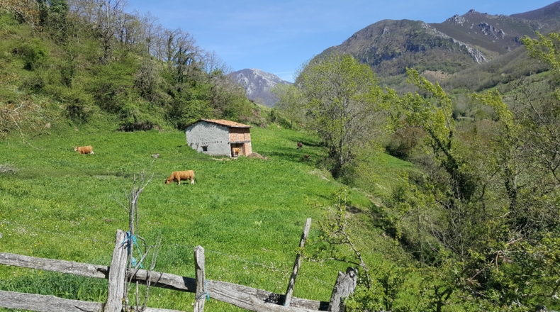 Asturias - Bezanes - 16097m2