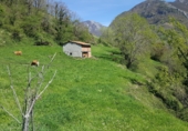 Finca rústica en venda a la Bezanes sn, Bezanes, ref.: TR72936 foto