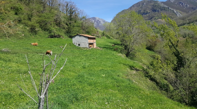 Asturias - Bezanes - 16097m2