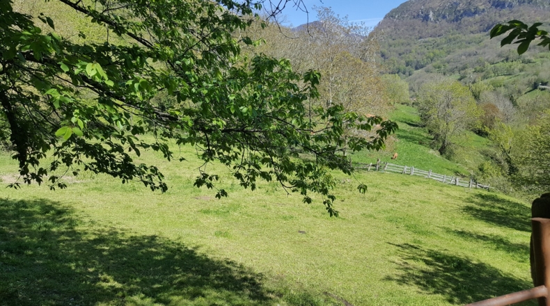Asturias - Bezanes - 16097m2