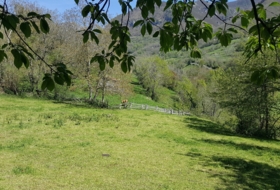 Bezanes 16097&nbsp;m² 