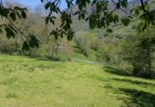 Finca rústica en venda a la Bezanes sn, Bezanes, ref.: TR72936 foto