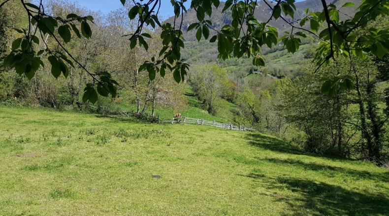 Asturias - Bezanes - 16097m2