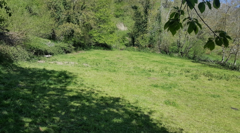 Asturias - Bezanes - 16097m2