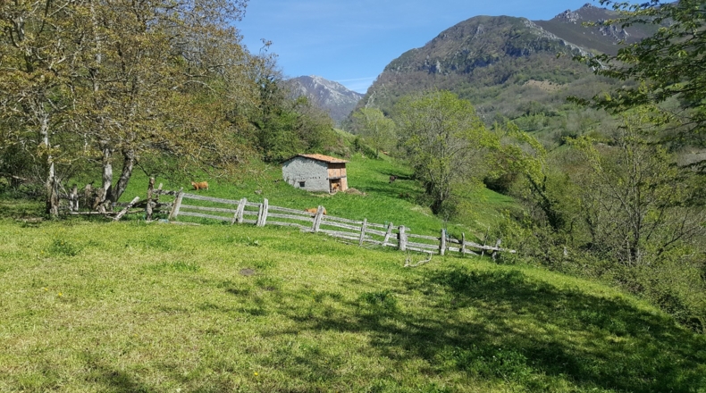 Asturias - Bezanes - 16097m2