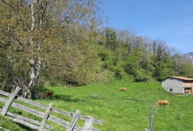 Bezanes 16097&nbsp;m² 