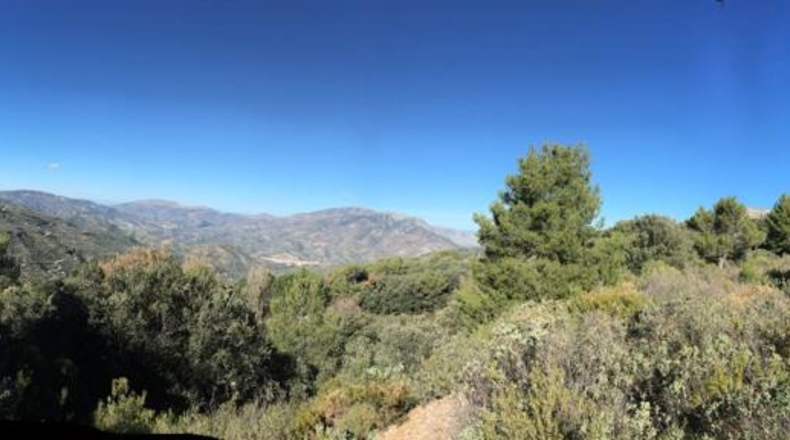 Jaén - Jaén - 11823m2