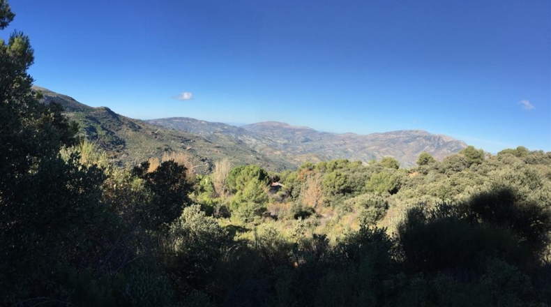 Jaén - Jaén - 11823m2