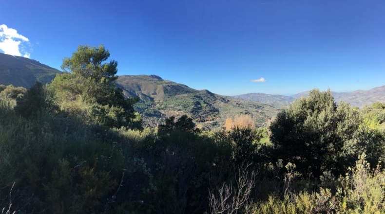Jaén - Jaén - 11823m2