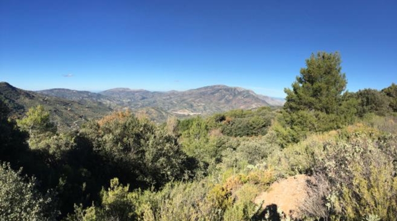 Jaén - Jaén - 11823m2