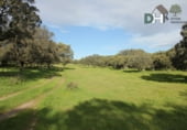 Terreno no urbanizable en venta en la Plaza del Duque, Cáceres, ref: TR73932 foto