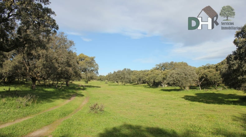Cáceres - Cáceres - 2400000m2