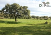Terreno no urbanizable en venta en la Plaza del Duque, Cáceres, ref: TR73932 foto