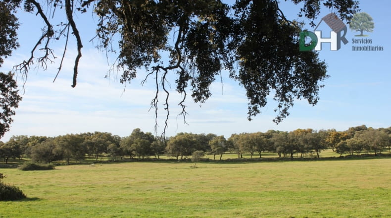 Cáceres - Cáceres - 2400000m2