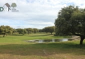 Terreno no urbanizable en venta en la Plaza del Duque, Cáceres, ref: TR73932 foto