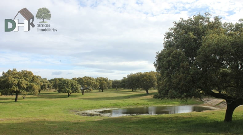 Cáceres - Cáceres - 2400000m2